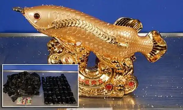 Photos: Nigerian Nabbed In Australia With $10m Hard Drug Hidden In Gold Fish Statues